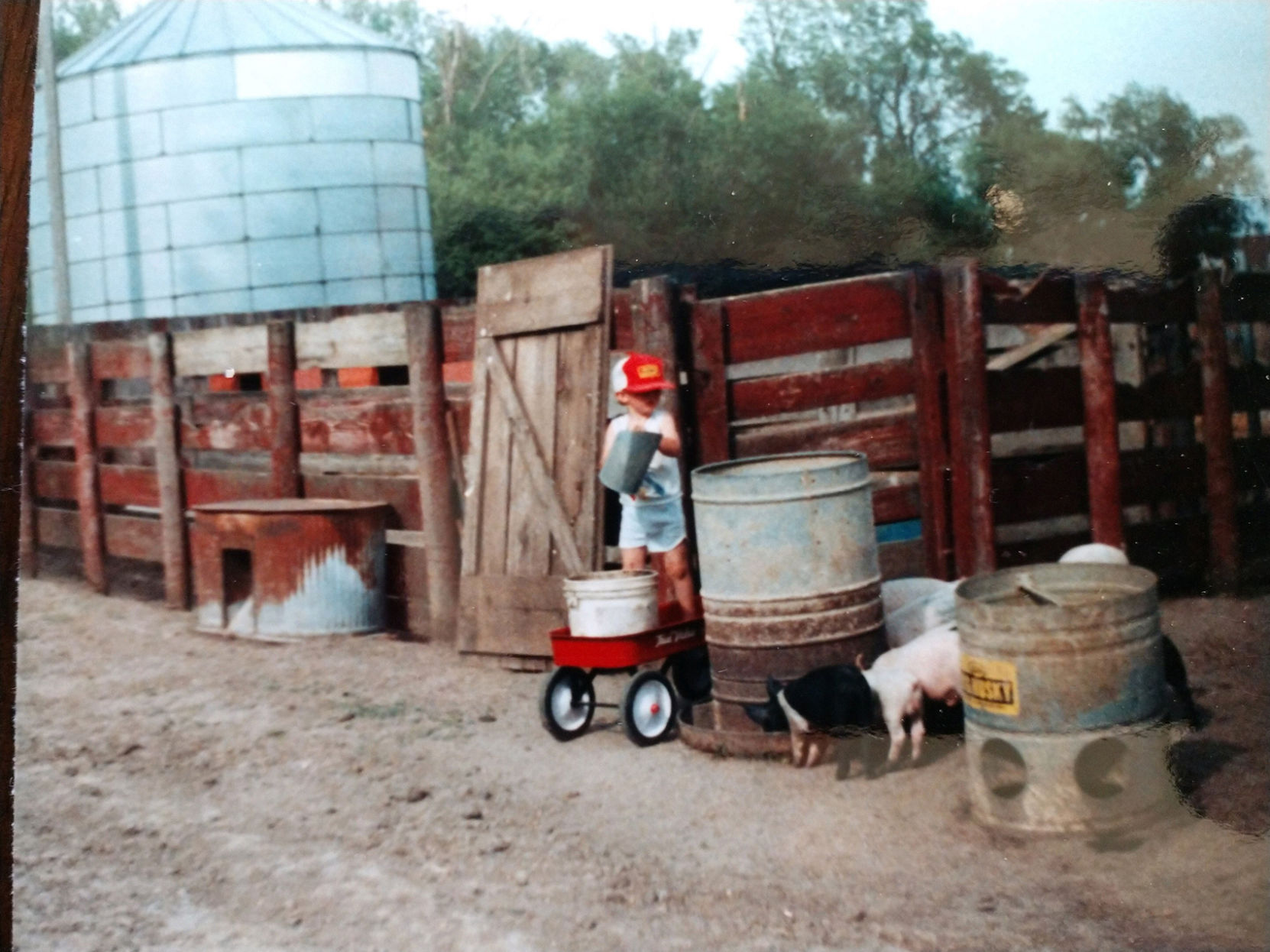Feeding pigs back in the day